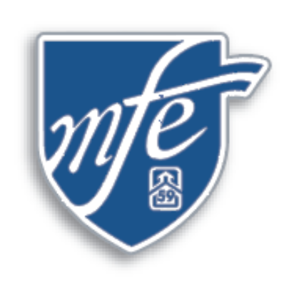 MFE59: Shield Logo Enamel Pin